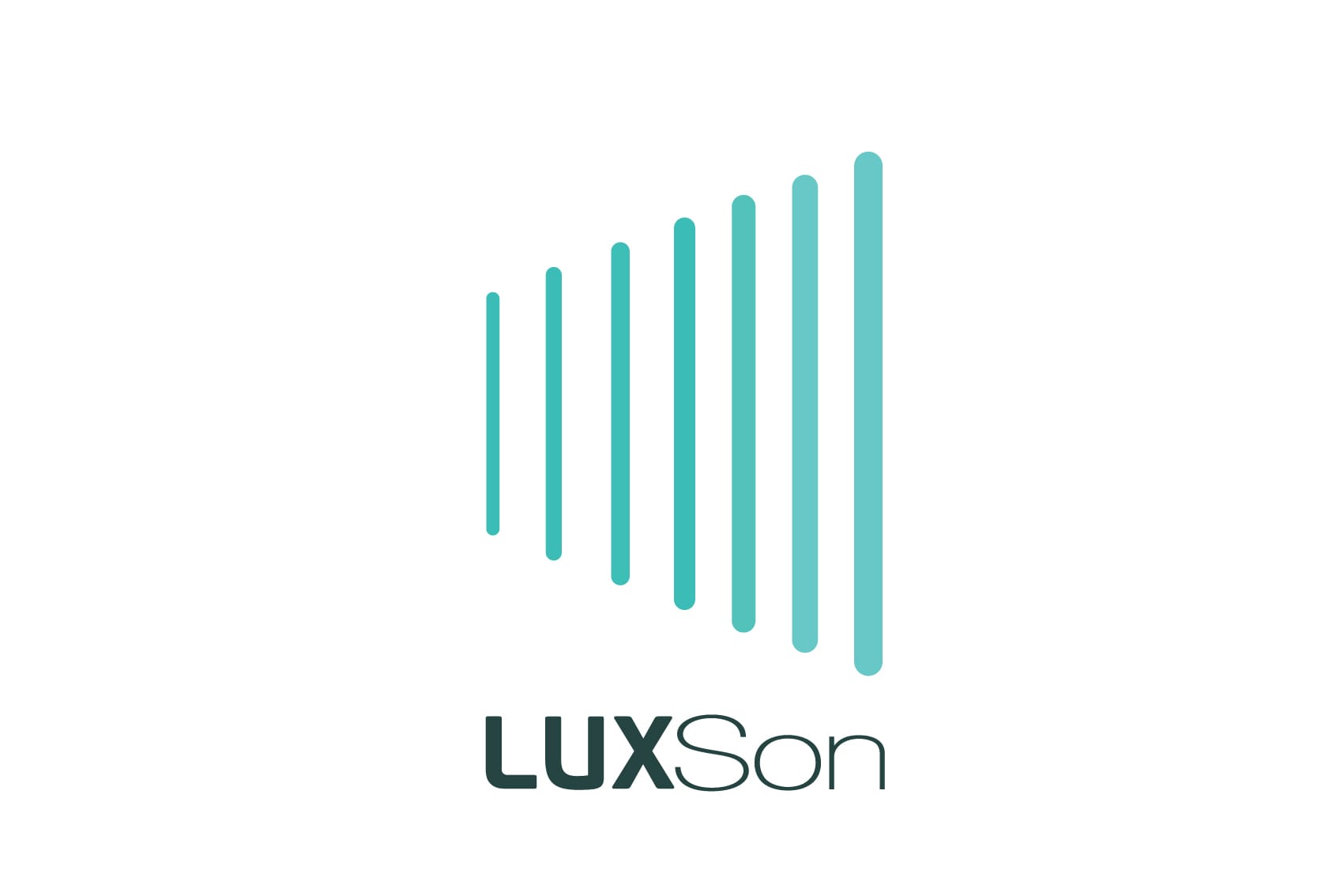 Logo Luxson